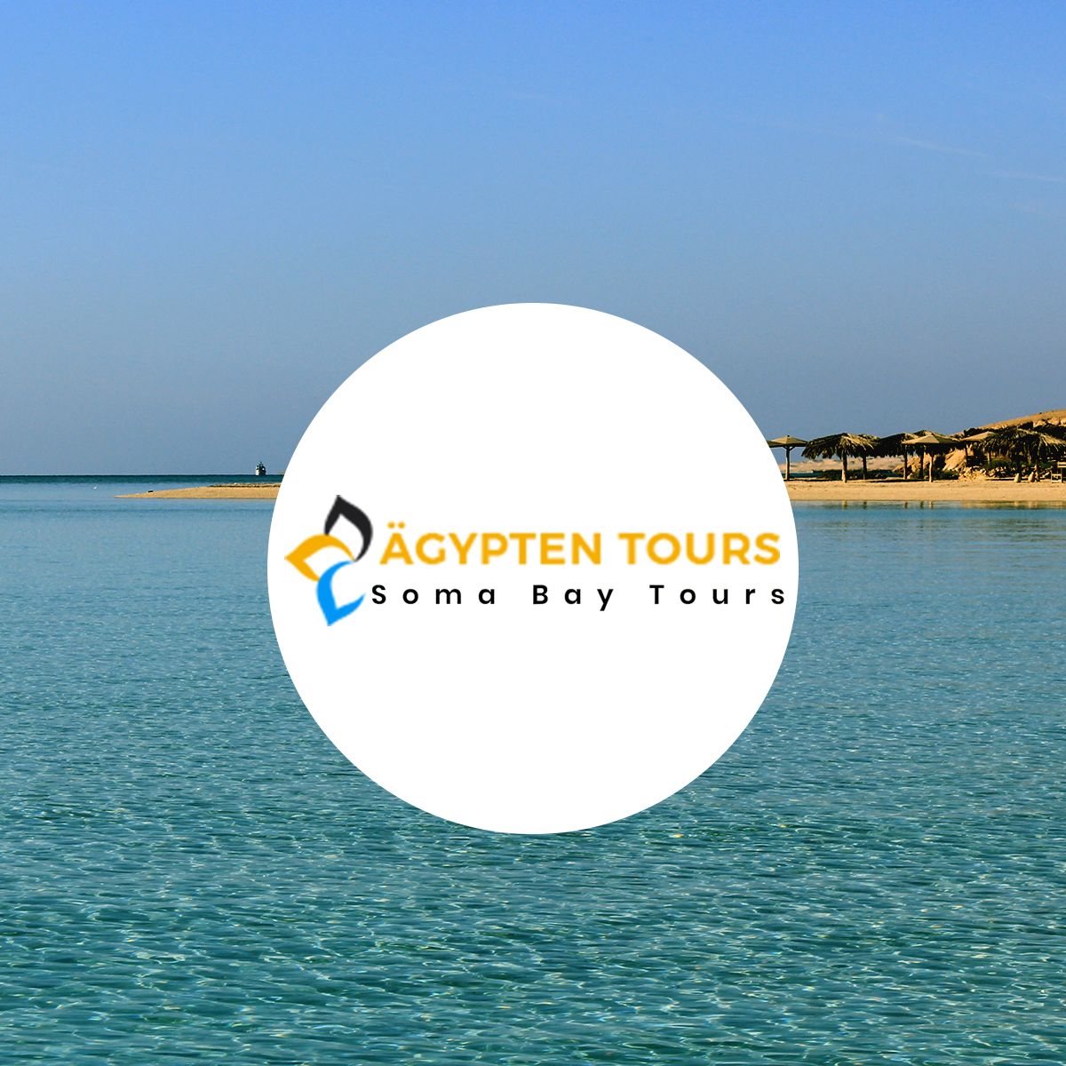 About Soma Bay Tours